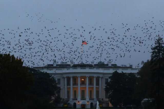 NYT: В Белом доме разрабатывают сценарии на случай применения Россией ядерного оружия