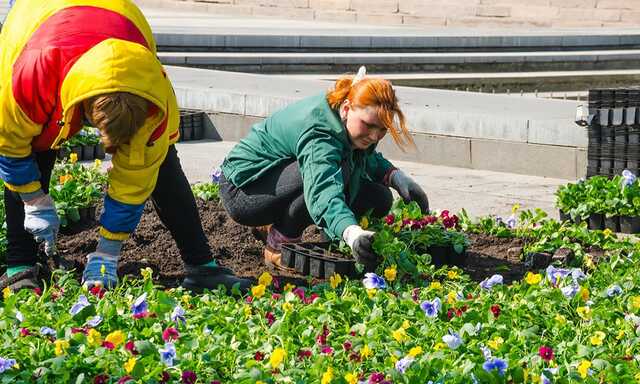 Город придерживается своих традиций: в Харькове начинают высаживать цветы
