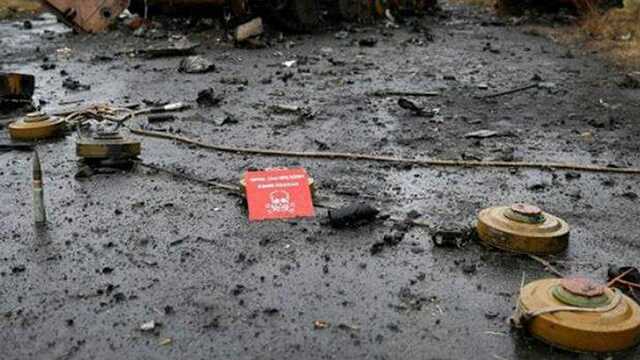 На Сумщине собака спасла жизнь хозяйке, взорвавшись на растяжке