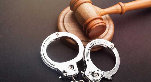 Стерненко отреагировал на арест в Украине пророссийского блогера