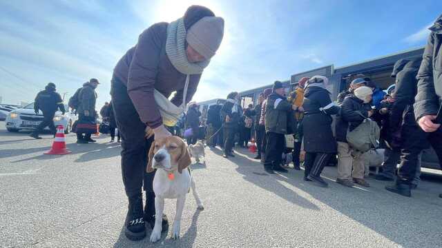 В Украине согласовали семь гуманитарных коридоров на 5 апреля