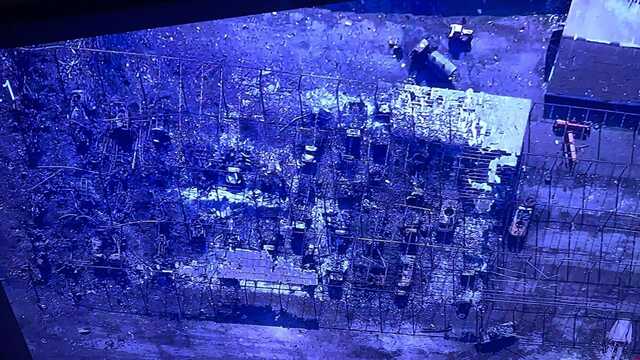 ВСУ уничтожили полсотни единиц техники РФ