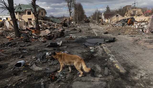 Разведка опубликовала имена бойцов Росгвардии, устроивших геноцид на Киевщине