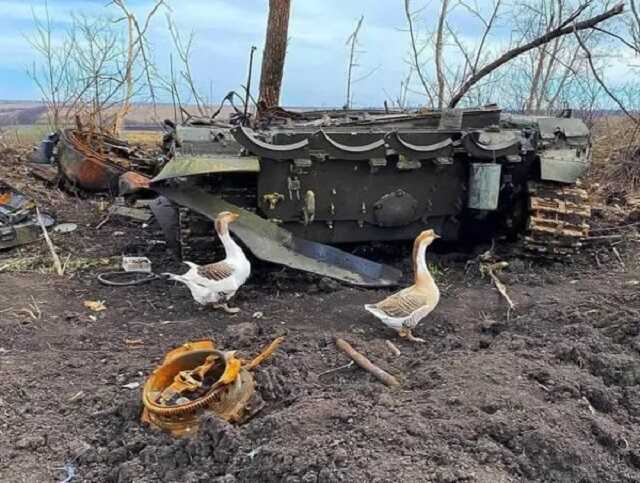 Народная война и эффективность власти