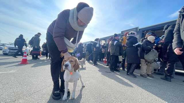 16 апреля согласовано 9 гуманитарных коридоров: Верещук назвала основные направления