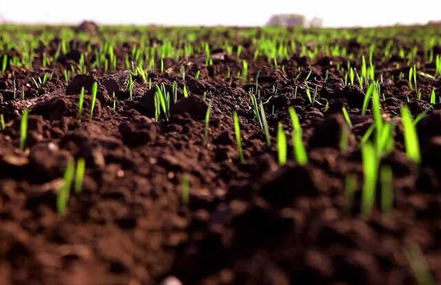 Оккупанты обворовывают предприятия на оккупированных территориях и минируют поля