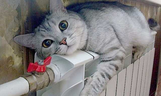 Во Львове с завтрашнего дня завершается отопительный сезон