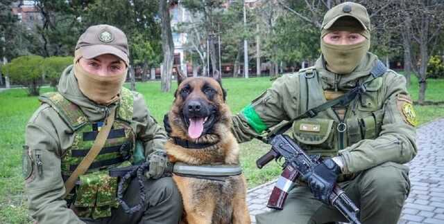Бросили под Николаевом. Нацгвардия приютила овчарку оккупантов: теперь защищает Украину