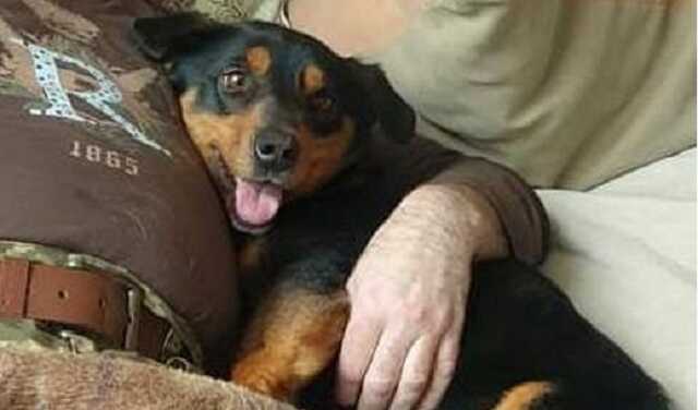 «Тюбик — мой личный символ победы над рашистами»: невероятная история со счастливым концом