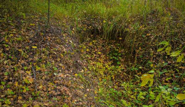 В Киевской области обнаружили восемь братских могил