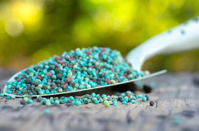 На 650 миллионов гривен: в Украине арестовали тонны минудобрений, принадлежащих РФ и Беларуси