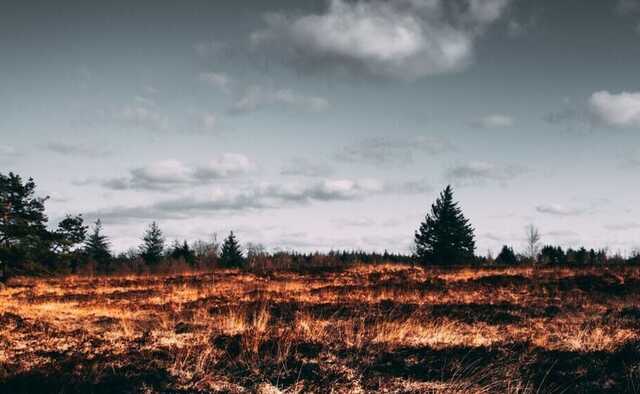 В Сибири тушить пожары заставили заключенных: военные переброшены в Украину
