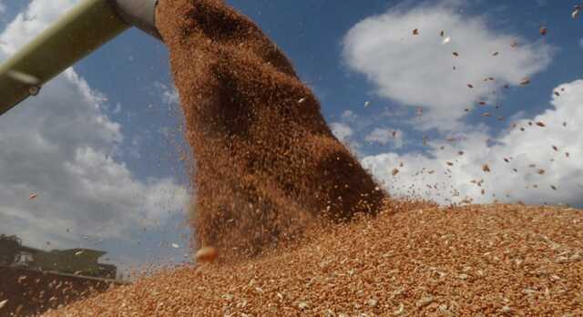 Росія продає вкрадене в Україні зерно, видаючи його за своє