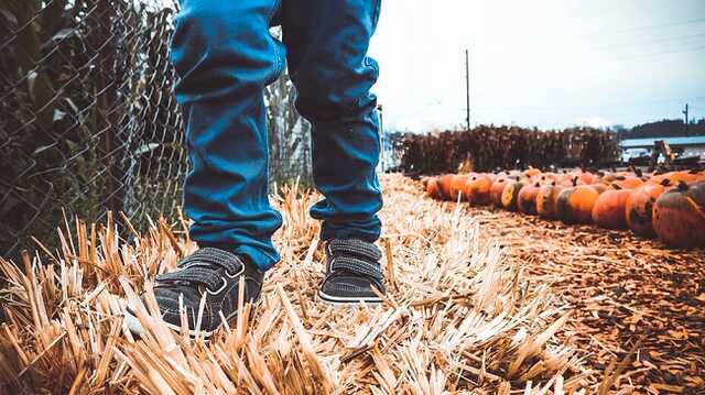 В Киевской области полицейские разыскали трехлетнего мальчика: прошел 4 километра от дома