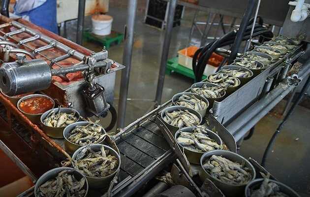 Россию «деконсервировали» — из-за санкций в РФ могут исчезнуть консервы