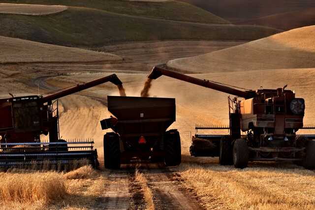 ГПЗКУ заготовила более миллиона тонн зерна
