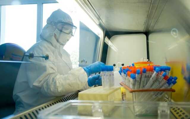 Первые случаи заболевания оспой обезьян подтверждены в Канаде