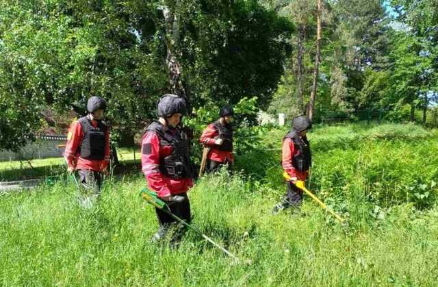 В ботсаду Гришко в Киеве саперы обнаружили четыре снаряда