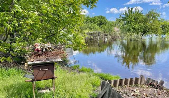 В Демидове из-за розлива реки Ирпень остаются подтопленными около 50 домов