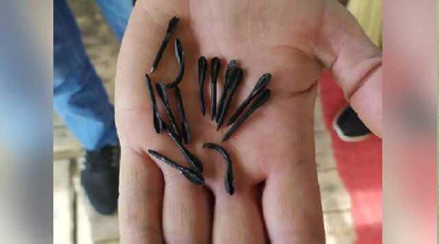 Россияне обстреляли Сумскую область артснарядами, начиненными флешетами