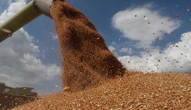 Оккупанты заявили о начале поставок украинского зерна в РФ: в МИД уже отреагировали