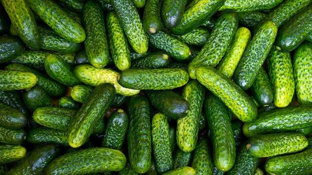 Украденные на Херсонщине огурцы продают в Крыму по "социальной цене"