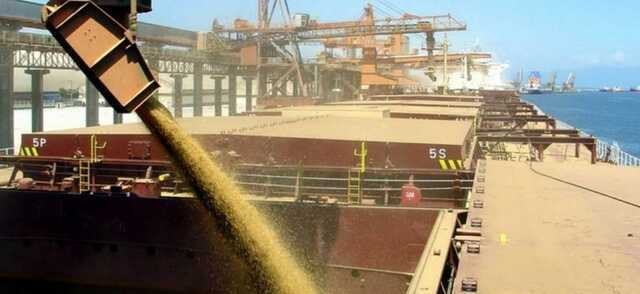 Может занять месяцы: в ООН рассказали о проблеме с вывозом украинского зерна