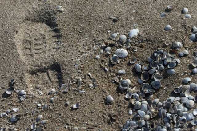 Екс-міністр оборони пояснив, чому окупанти не втримають захоплену частину півдня України