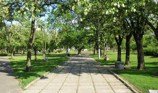 Фирме экс-чиновника дали 14 млн гривен для ухода за парками в Николаеве