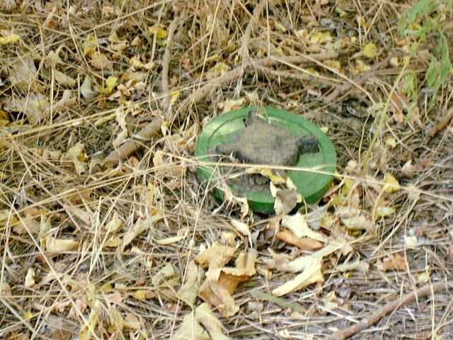 СБУ: Оккупанты хотят разминировать поля в Мариуполе, пустив на них пленных