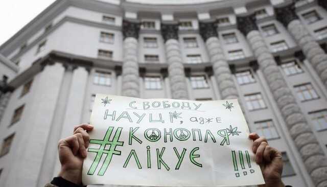 Закон о медицинском каннабисе внесли в Раду: для каких пациентов его легализуют