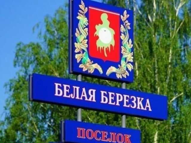 В России заявили о прорыве ДРГ в Брянскую область: якобы произошел бой