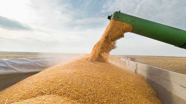 Дефицит зерна из Украины грозит Азии и Африке чередой госпереворотов, – Зеленский