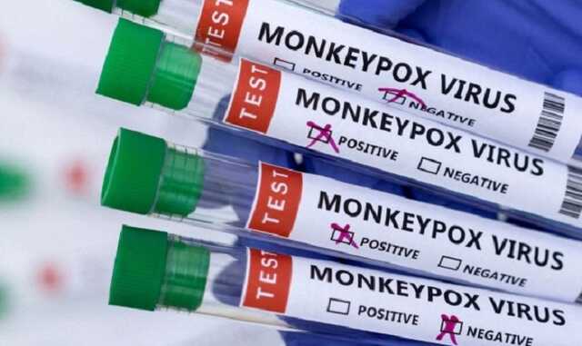 В Польше подтвержден первый случай оспы обезьян: появились подробности