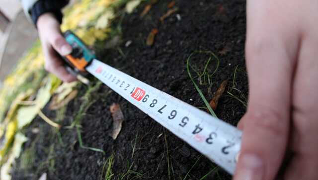 В Одесской области экс-чиновник украл земли Дунайского заповедника