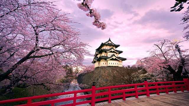 16 университетов Японии объединились, чтобы принимать студентов из Украины