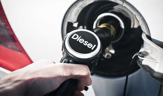Дизельные автомобили доминируют при бесплатной растаможке