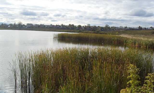 На Киевщине полицейские оперативно разыскали 5-летнего мальчика: исчез возле местного водоема