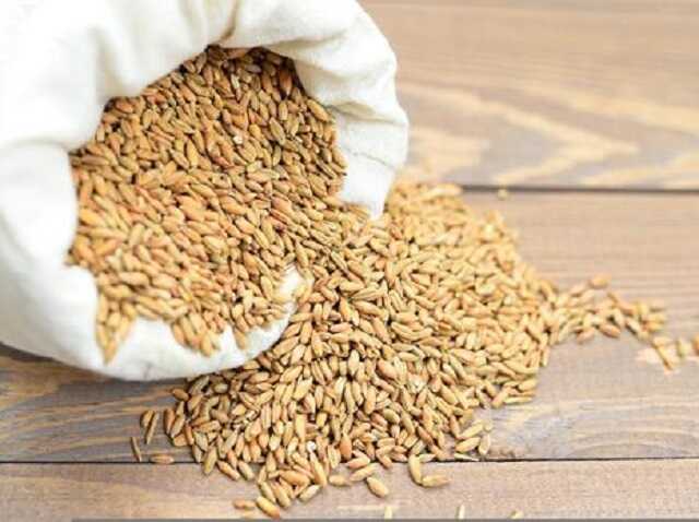 Россия за май украла украинского зерна на 2 миллиарда