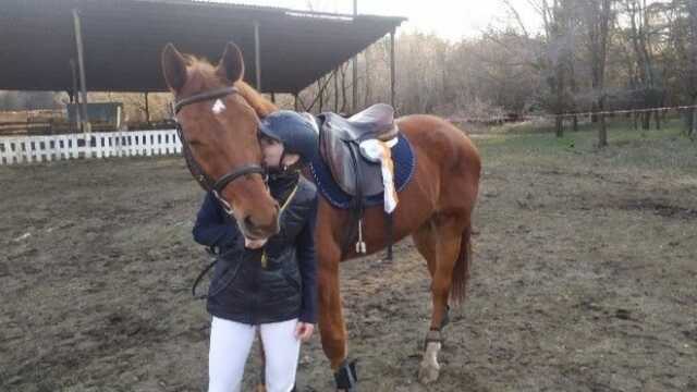 Сгорели заживо: Российские войска уничтожили под Северодонецком конный клуб "Виртуоз"