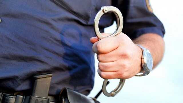 В Вене украинец в одних трусах напал на полицейских