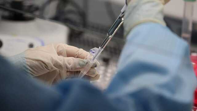 В Испании выявили первый случай заражения холерой с 1979 года – El Pais