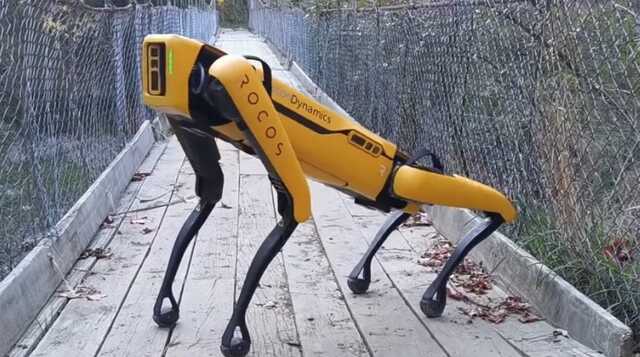      Spot   ,  Foreign Policy