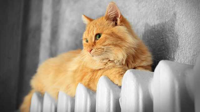 Сверхсложный сезон: украинцам пора отвыкать жить с открытыми зимой окнами, — Минрегион