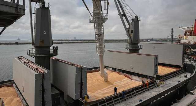 Зерно из Украины будут экспортировать каждый день уже в июле – МИД Германии