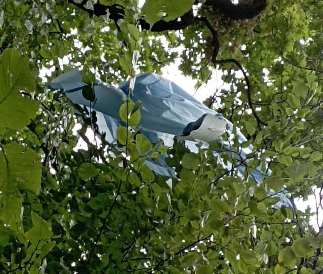 Николаевские десантники уничтожили российский разведывательный БПЛА «Элерон-3»