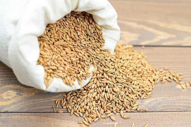 РФ вывезла четверть от всех запасов зерна из захваченных территорий Украины, — Минагрополитики