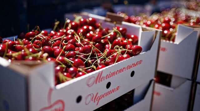 На рынках Беларуси продают краденную мелитопольскую черешню и херсонские помидоры