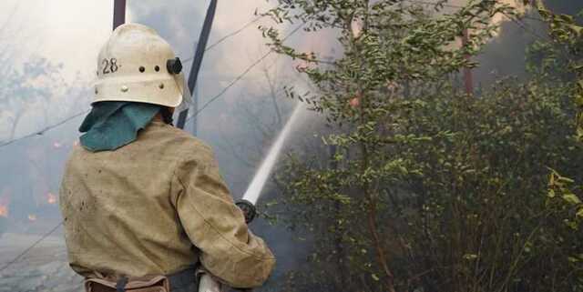 Почти по всей Украине – пожарная опасность: спасатели предупредили о ряде запретов