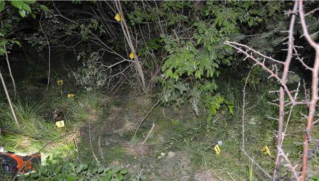 Перепутал со зверем. Во Львовской области охотник застрелил мужчину